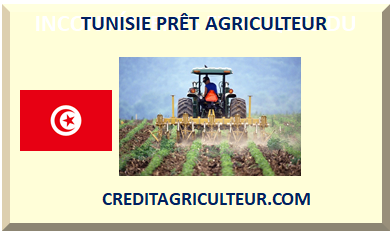 TUNISIE PRÊT AGRICOLE 2024